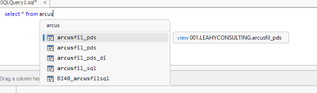 Completion open on a partly typed table name, the matched characters in bold, with a caption naming the object as a view and giving its fully qualified name