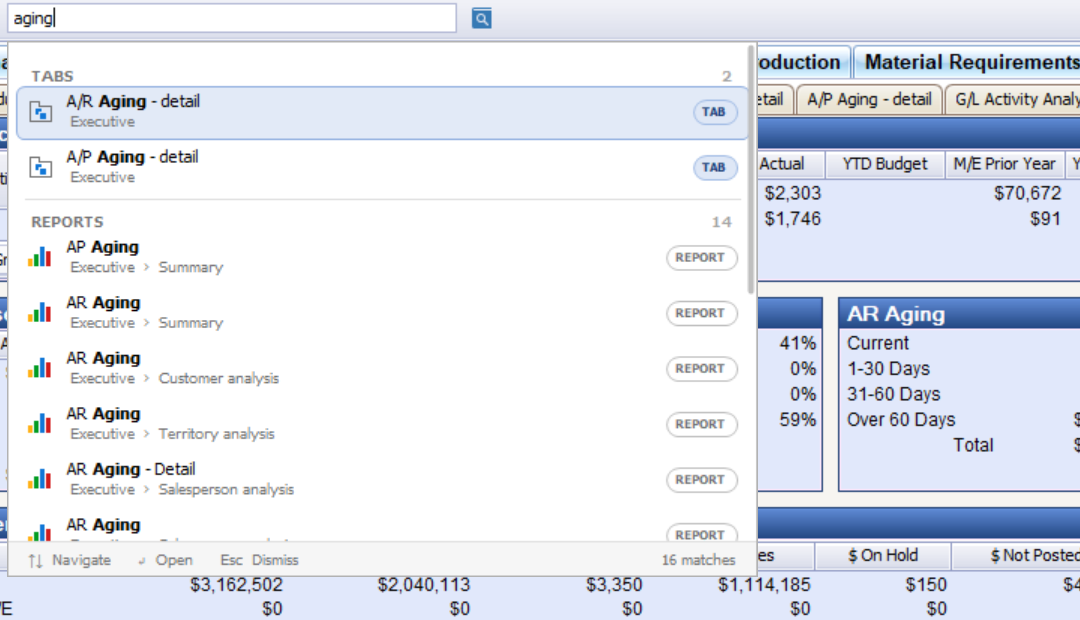 Quick search open on a partly typed word, listing two matching tabs and fourteen matching reports, each with the module and tab it lives on